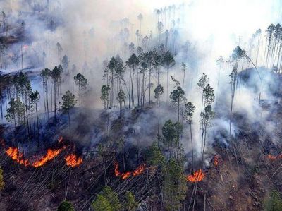 Bomberos Zapadores de Rosario est�n en alerta para ser convocados por los incendios forestales