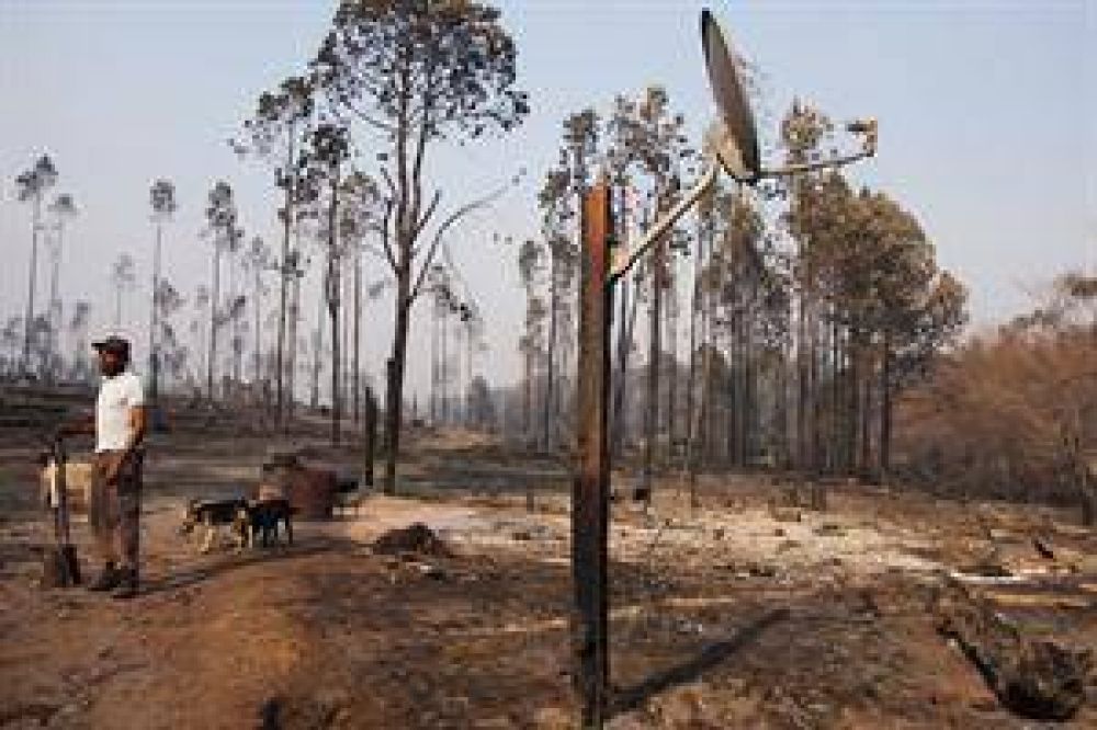 El fuego dej un panorama desolador en las sierras de Crdoba