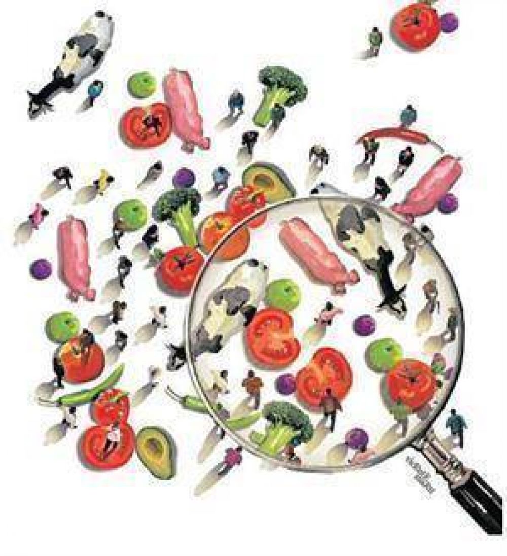 Los alimentos bajo la lupa: qu hay detrs de lo que comemos
