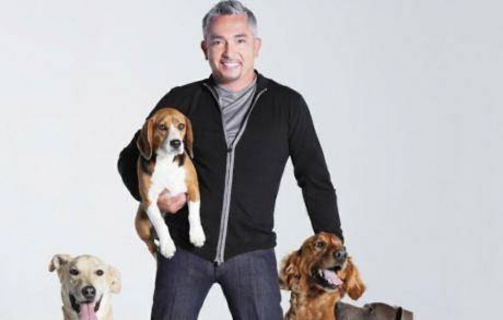 El "encantador de perros" en C�rdoba
