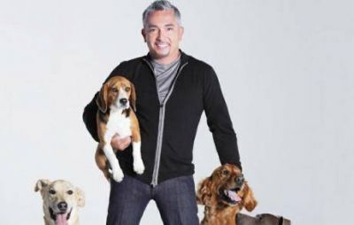 El "encantador de perros" en C�rdoba