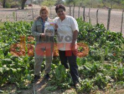 Vecinos apuestan a las huertas familiares