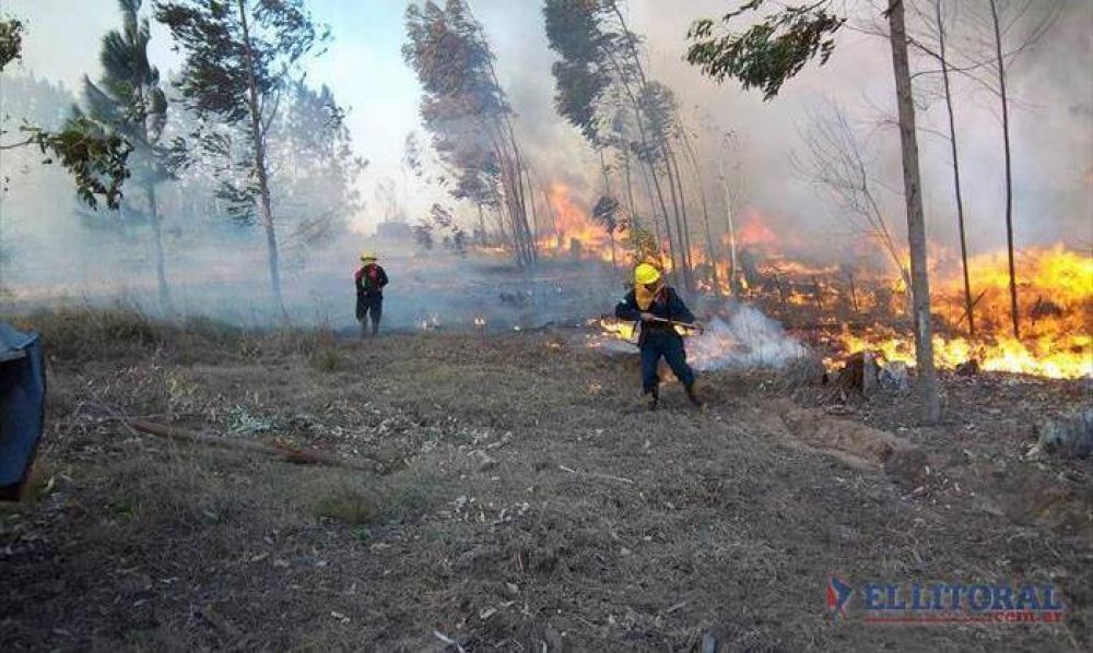 Por la sequ�a detectan incendios diarios en forestaciones y campos del interior