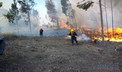 Por la sequ�a detectan incendios diarios en forestaciones y campos del interior
