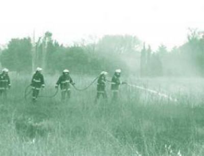 Voraz incendio en la zona rural a ra�z del siniestro de un auto