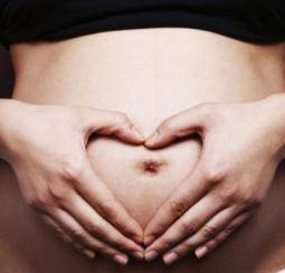 La Rioja se encamina a adherir a la Ley de Fertilizaci�n Asistida