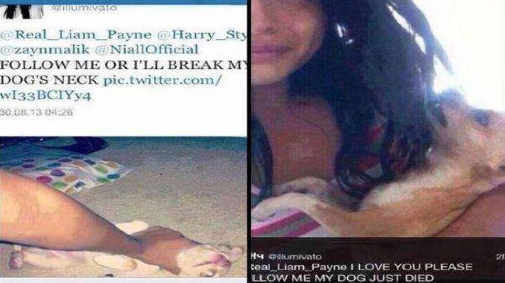 Mat� a su perro porque One Direction no la sigui� en Twitter