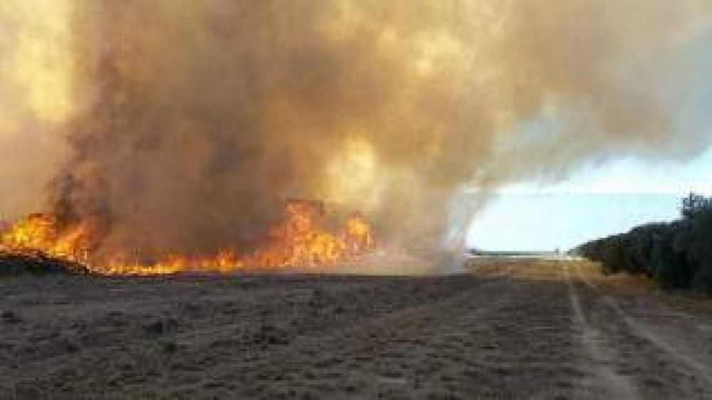M�ltiples incendios forestales en Catamarca