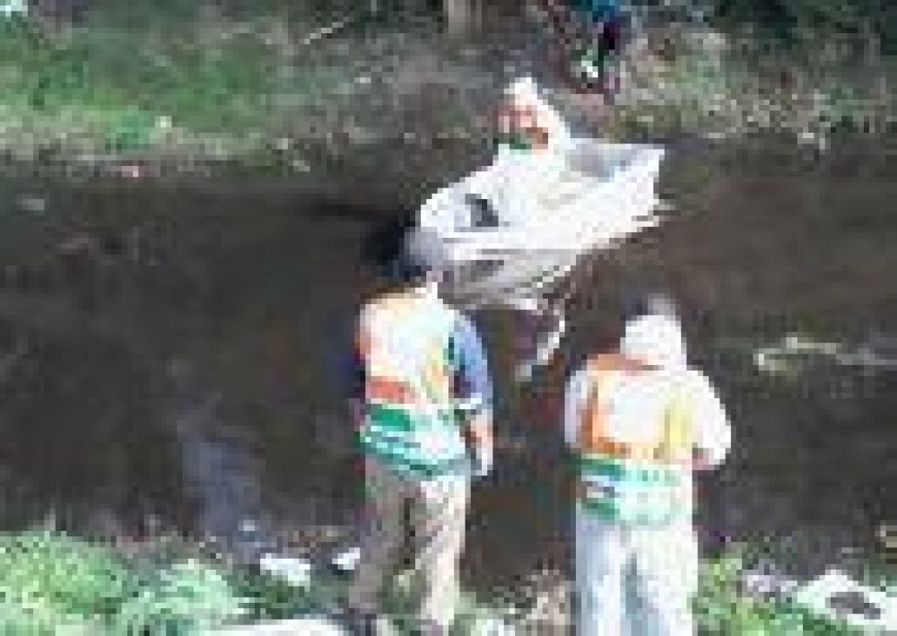 La Plata: Avanzan las tareas de limpieza y desmalezamiento de arroyos
