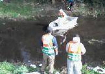 La Plata: Avanzan las tareas de limpieza y desmalezamiento de arroyos