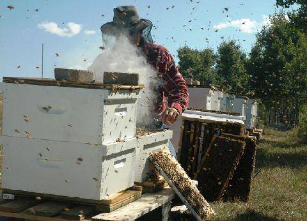 Entregaron subsidio a cooperativa ap�cola