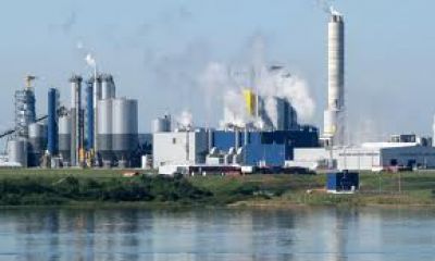 Solicitan conocer informes sobre los controles a UPM