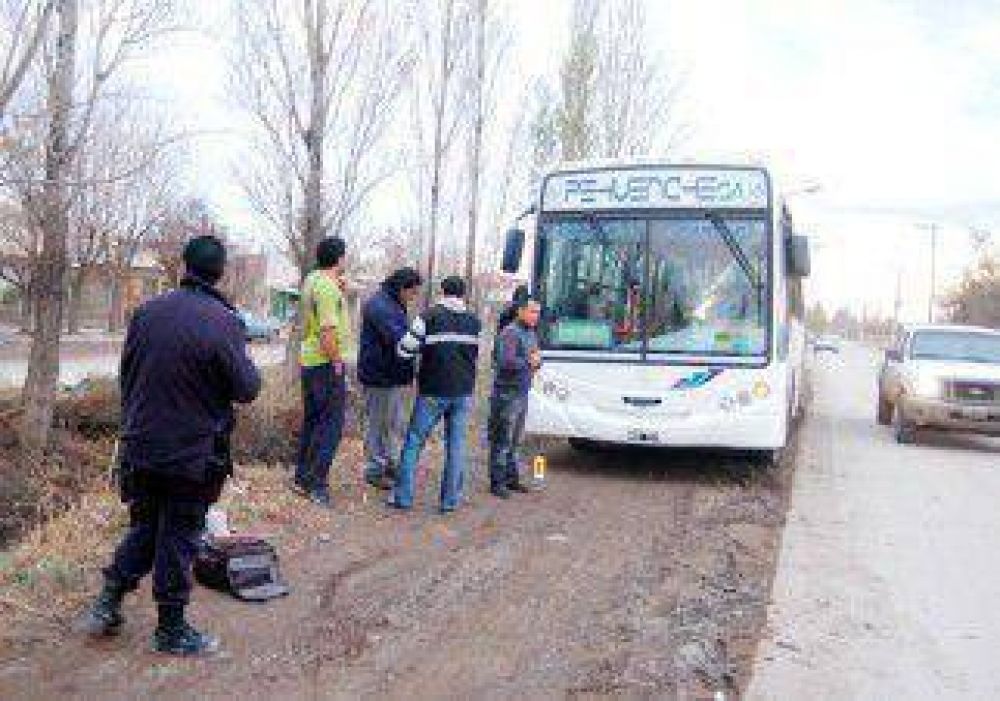 Hirieron a balazos a chofer de Pehuenche 