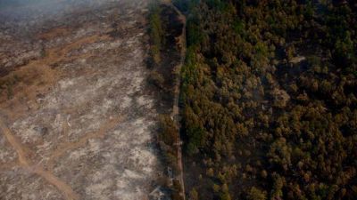 La Provincia reiter� que no pide donaciones por los incendios