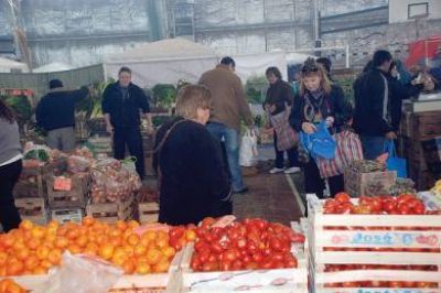 Hoy concluye la quinta edici�n del Mercado Popula
