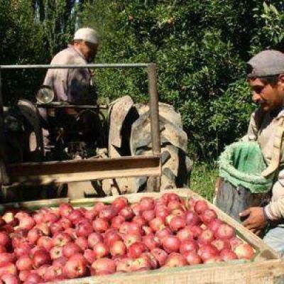 El mafioso monopolio de la fruta en la era kirchnerista