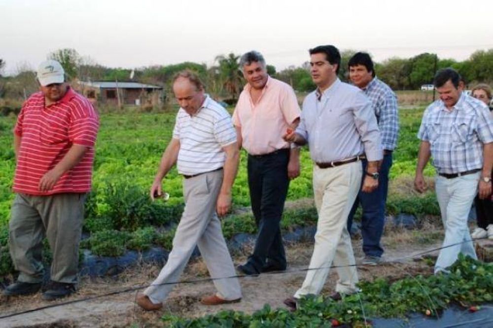 Capitanich destac� la producci�n de frutilla que se consolida en el este provincial
