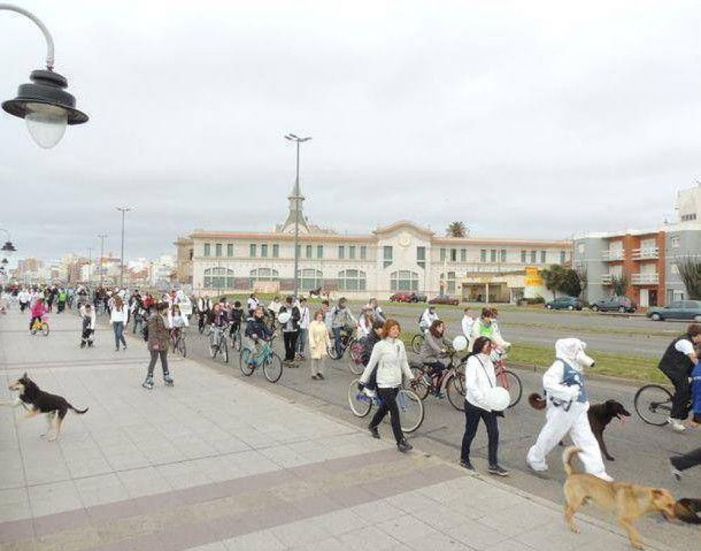 Cientos de personas se sumaron en bicicleta a la defensa del �rtico