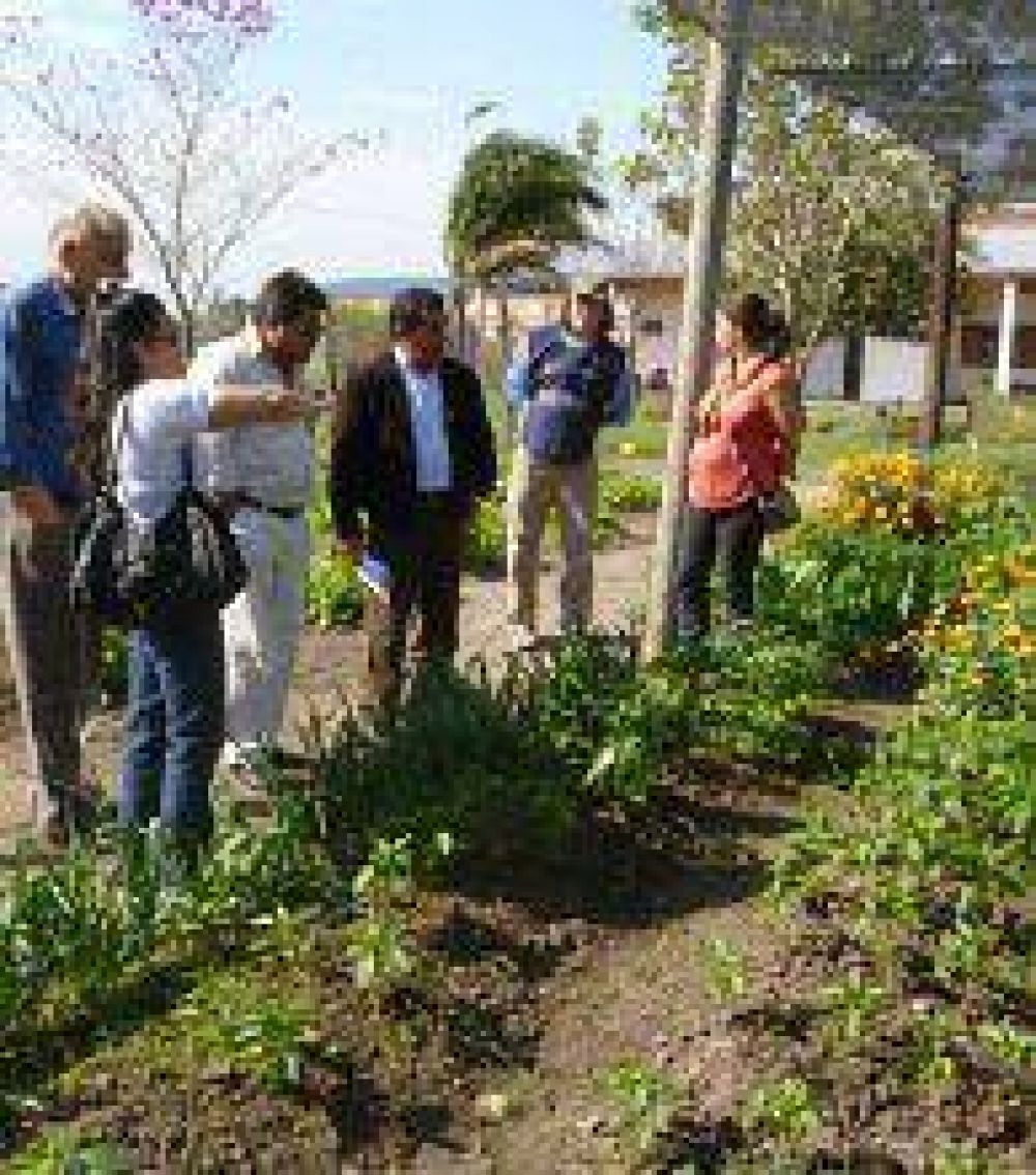 El programa Pro Huerta sigue creciendo en la ciudad