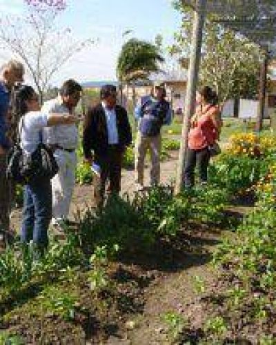 El programa Pro Huerta sigue creciendo en la ciudad