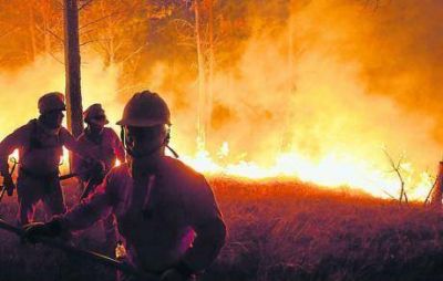 Incendios: las causas clim�ticas del desastre