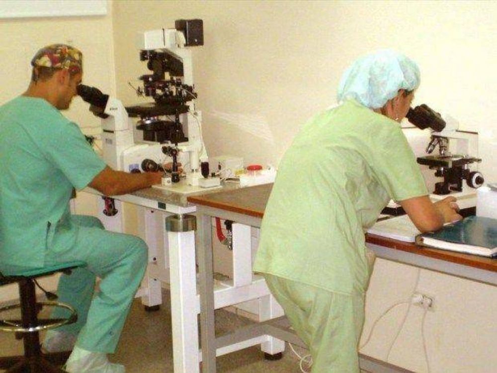 Habilitan otro centro de fertilizaci�n asistida