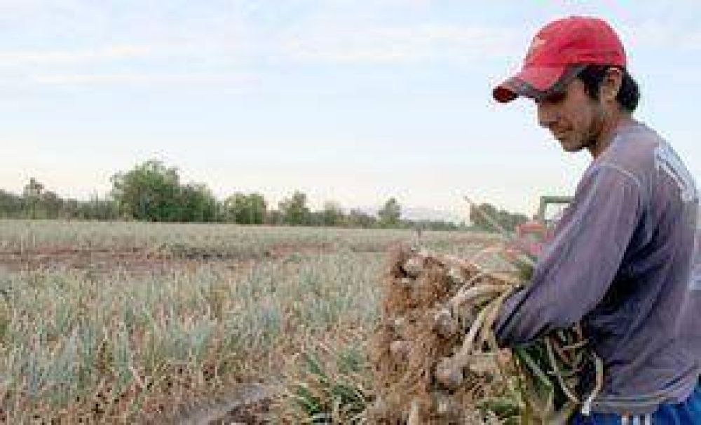 Costos de producci�n quitan competitividad