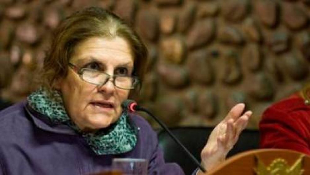"La deuda creci� porque se dej� de pagar la energ�a que se consume�