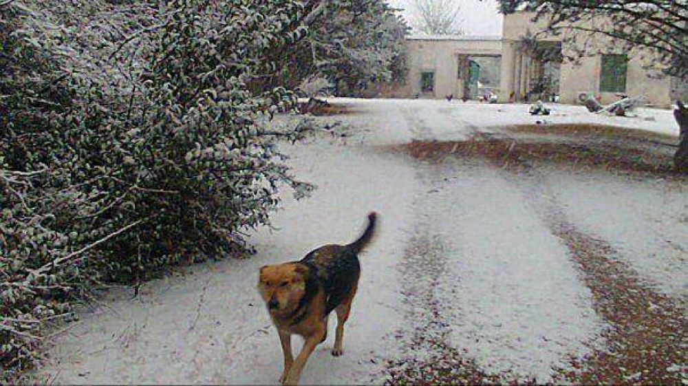 Intensas nevadas en la zona de los incendios