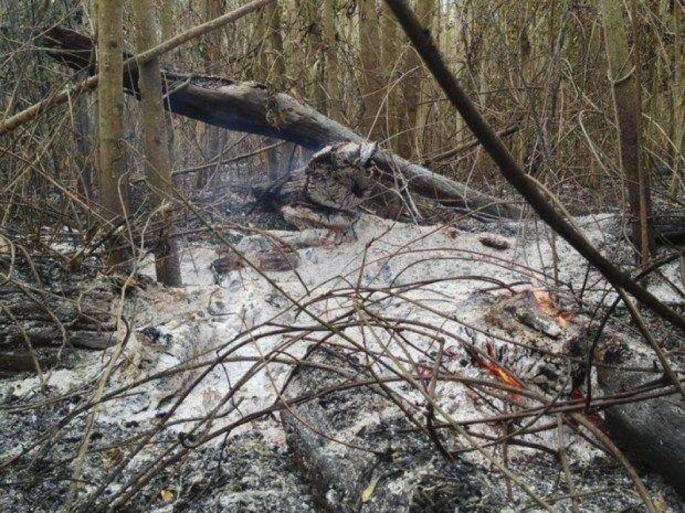 En el norte, la lucha contra el fuego fue mano a mano