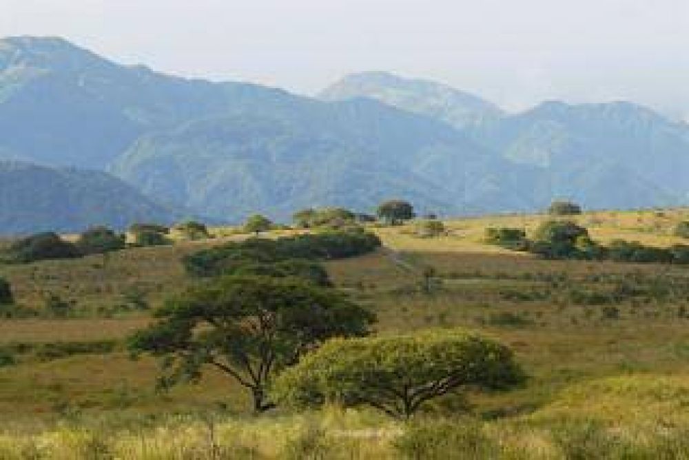 A fin de mes estar�a terminado el proyecto de Loma Balc�n