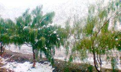 La nieve volvi� a pintar el pasisaje de J�chal e Iglesia
