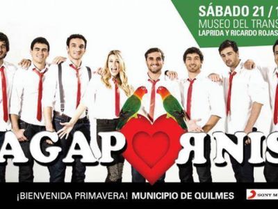 Agapornis recibir� la Primavera