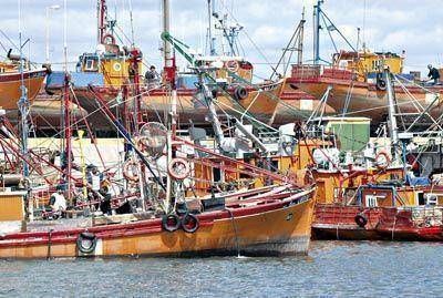 Hace 15 a�os hab�a m�s de 80 lanchitas amarillas y ahora s�lo quedan 28