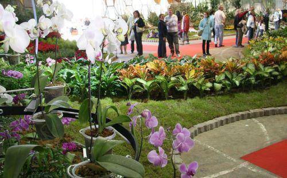 La Fiesta Nacional de la Flor llega a su edici�n n�mero 50