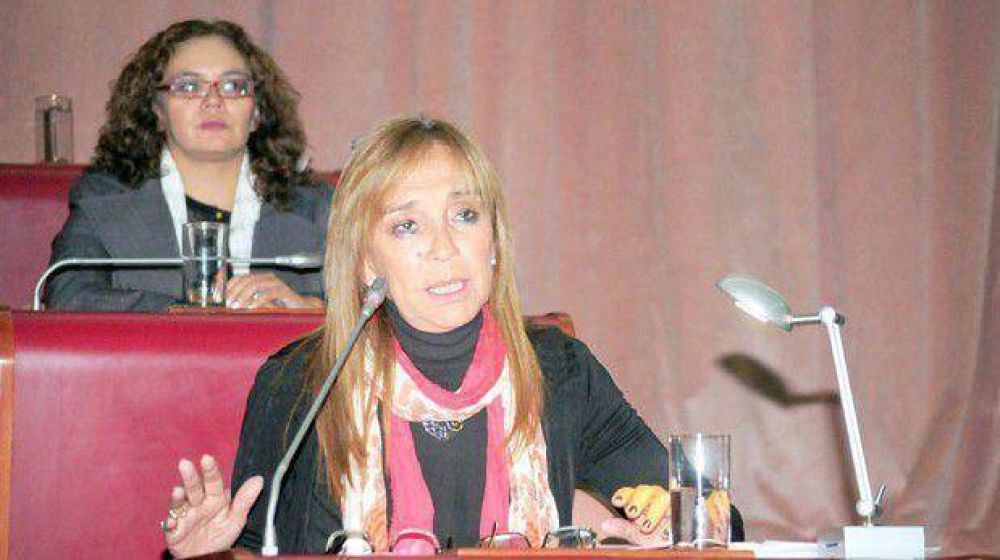 La Legislatura busca que el contrato con Tecpetrol se apruebe ma�ana