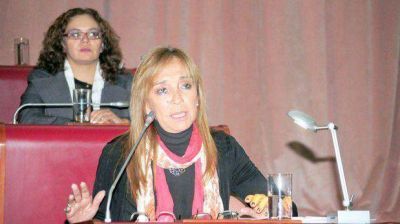 La Legislatura busca que el contrato con Tecpetrol se apruebe ma�ana