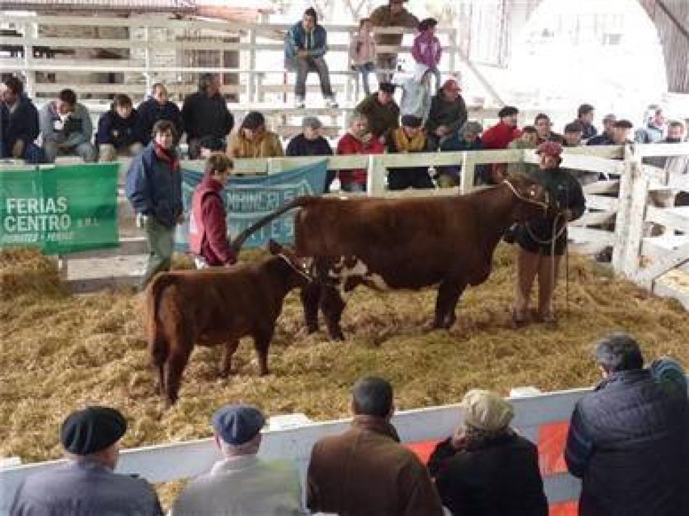El precio m�ximo lo hizo un Shorthorn de pedigree, por el que se pagaron $ 27.500
