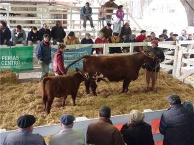 El precio m�ximo lo hizo un Shorthorn de pedigree, por el que se pagaron $ 27.500