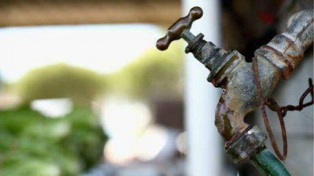 Encuentran un par�sito come cerebros en el agua potable