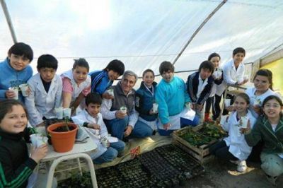 Las escuelas podr�n participar en el INTA Expone