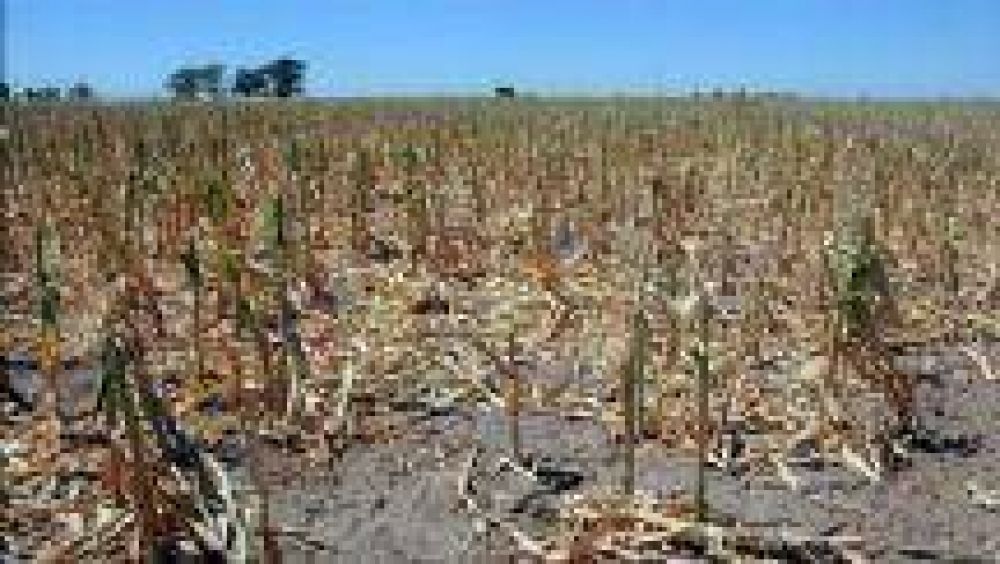 M�s de 700 productores salte�os accedieron a cr�ditos provinciales por la sequ�a