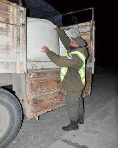 Gendarmer�a Nacional incaut� en Salta casi 25 toneladas de precursores qu�micos para estupefacientes