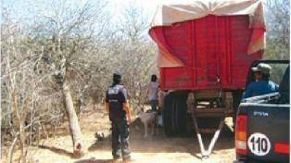 Detectan empleo infantil en una finca salte�a