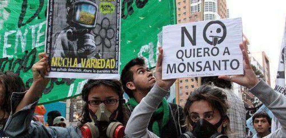 Primavera sin Monsanto