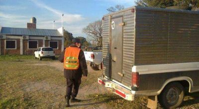 Llevaba 600 kilos de carne ilegal en su camioneta