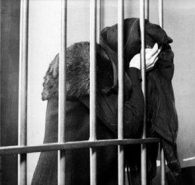 Detienen en Palpal� a una mujer que ten�a pedido de captura internacional por tr�fico de droga