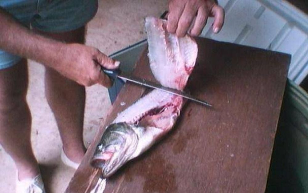 Trabajo en negro: se concentrar�a en gastronom�a, construcci�n y pesca