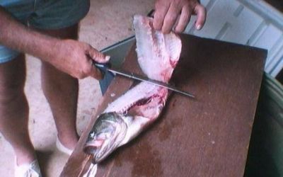 Trabajo en negro: se concentrar�a en gastronom�a, construcci�n y pesca