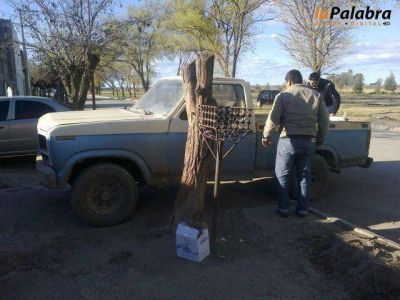 Villalonga: robaron en el campo de ex piloto de TN
